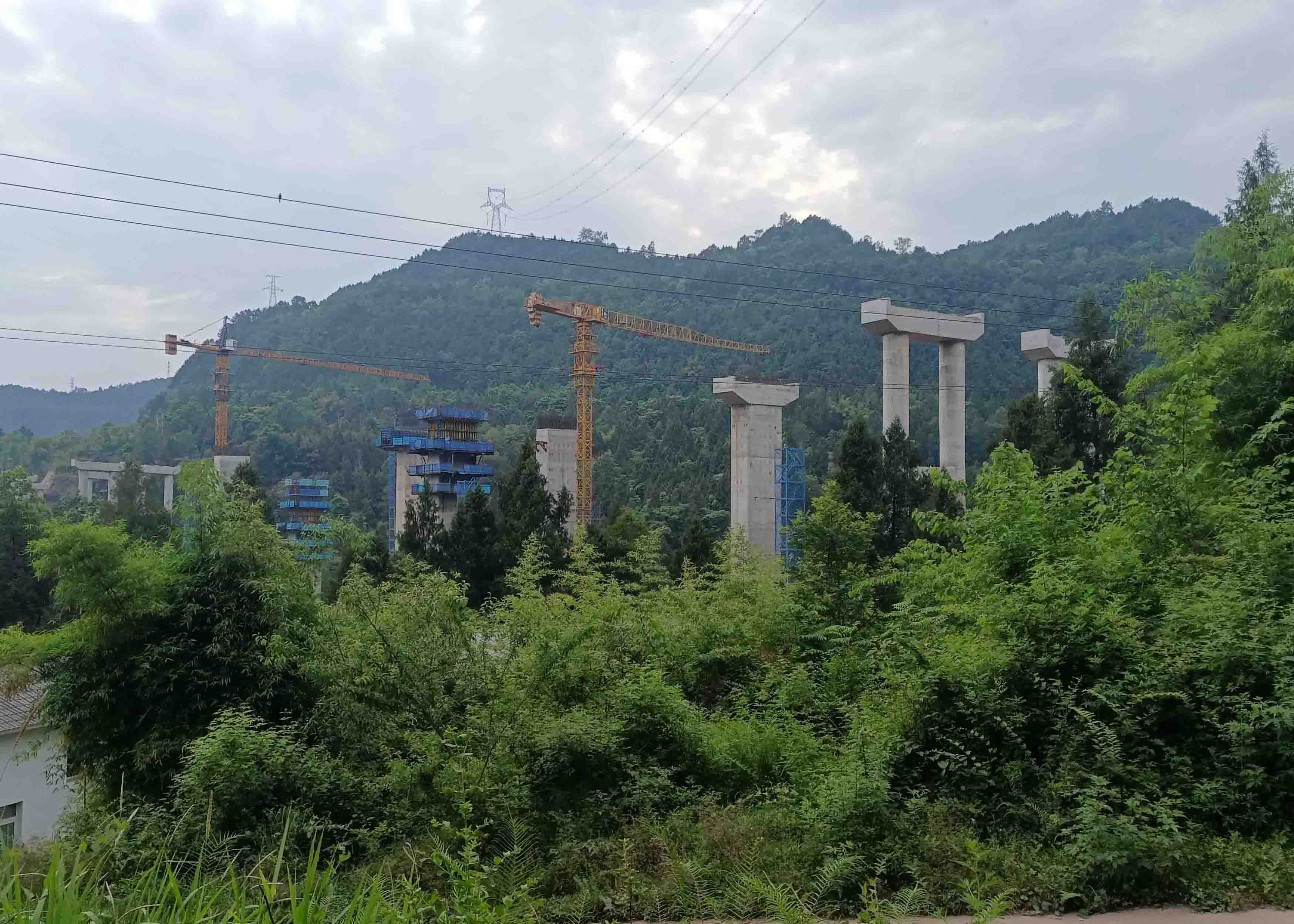 2023年8月完工后的苍巴高速董家湾大桥下部结构